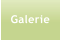 Galerie
